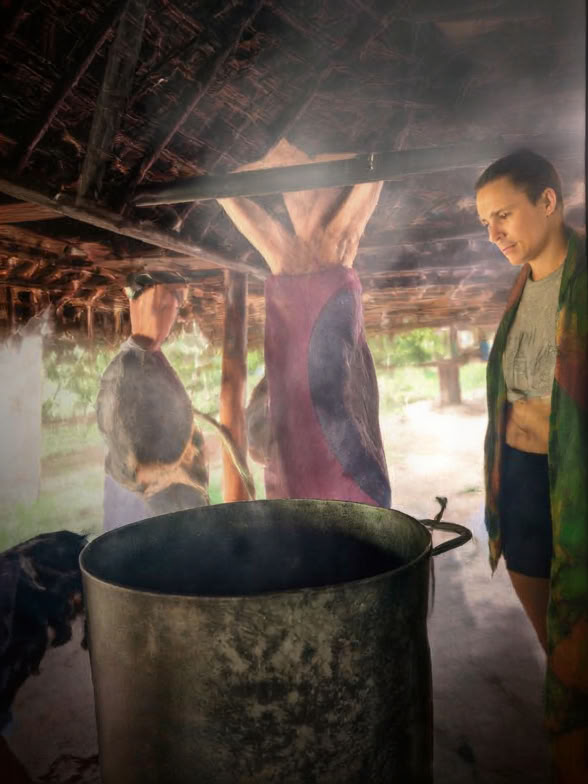 5-daagse introductie tot ayahuasca en Amazonische plantenmedicijn
