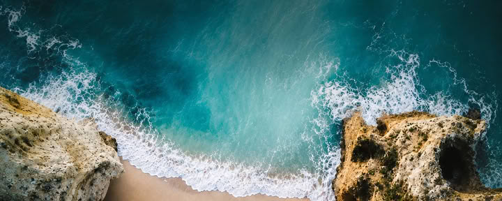 Silva Methode Goa Retreat 2026