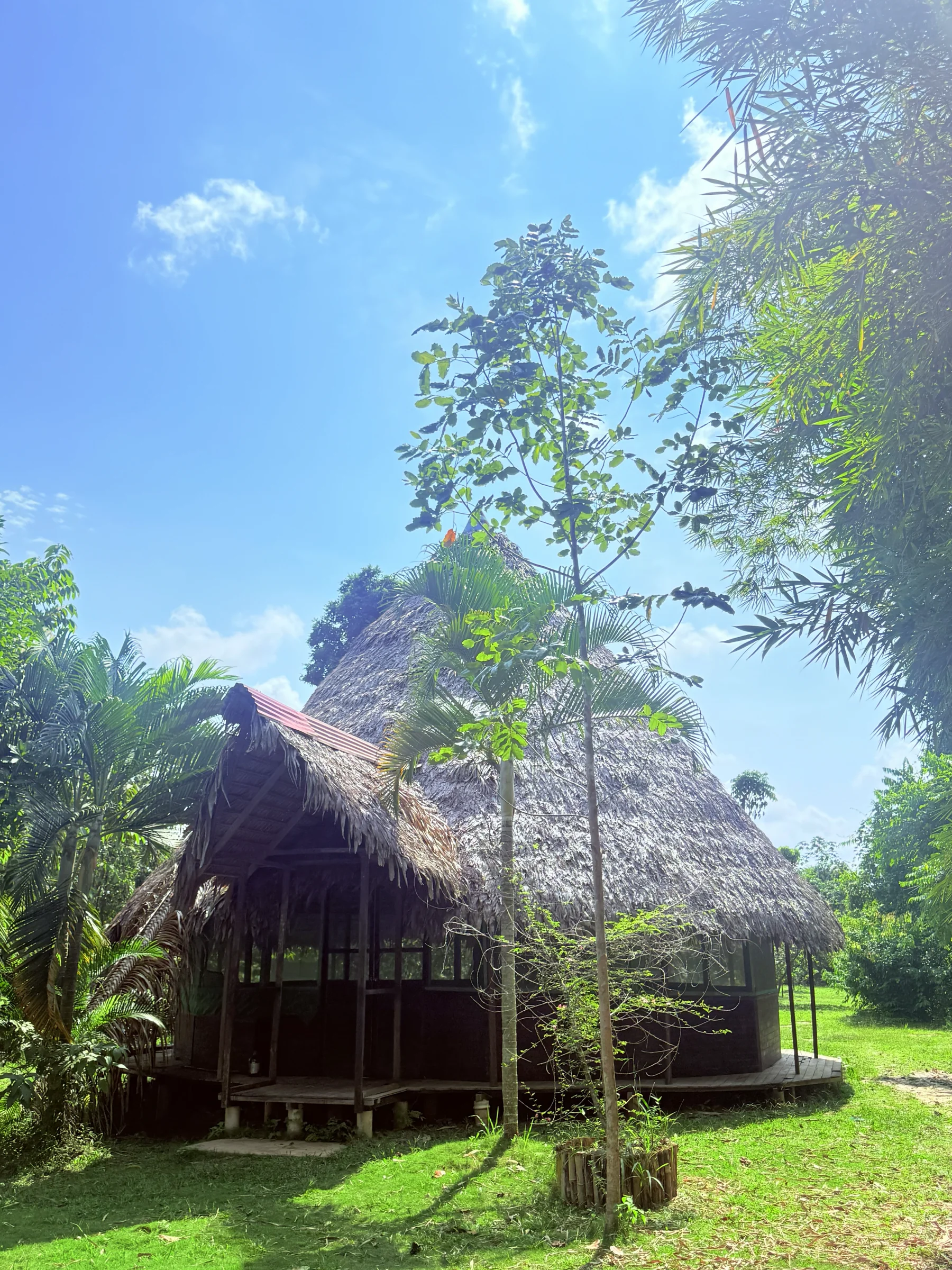 2 weken ayahuascaretreat in Peru