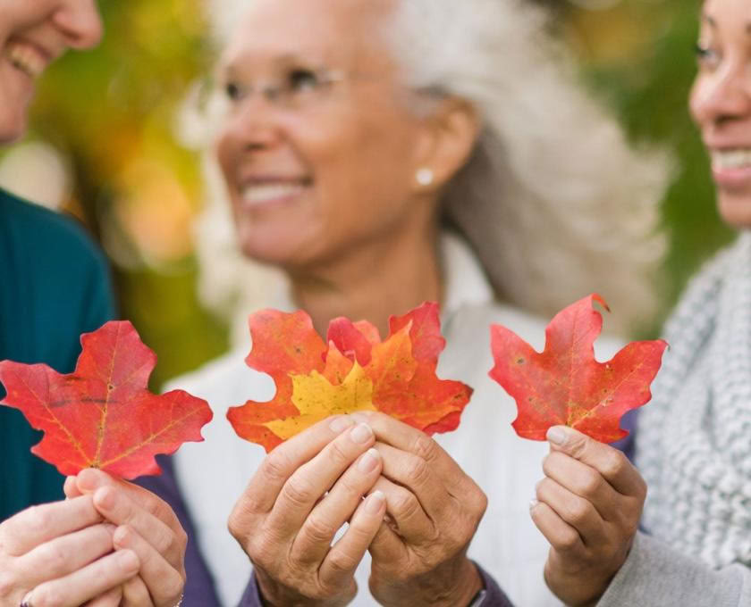 200 uur basisprincipes van Ayurveda