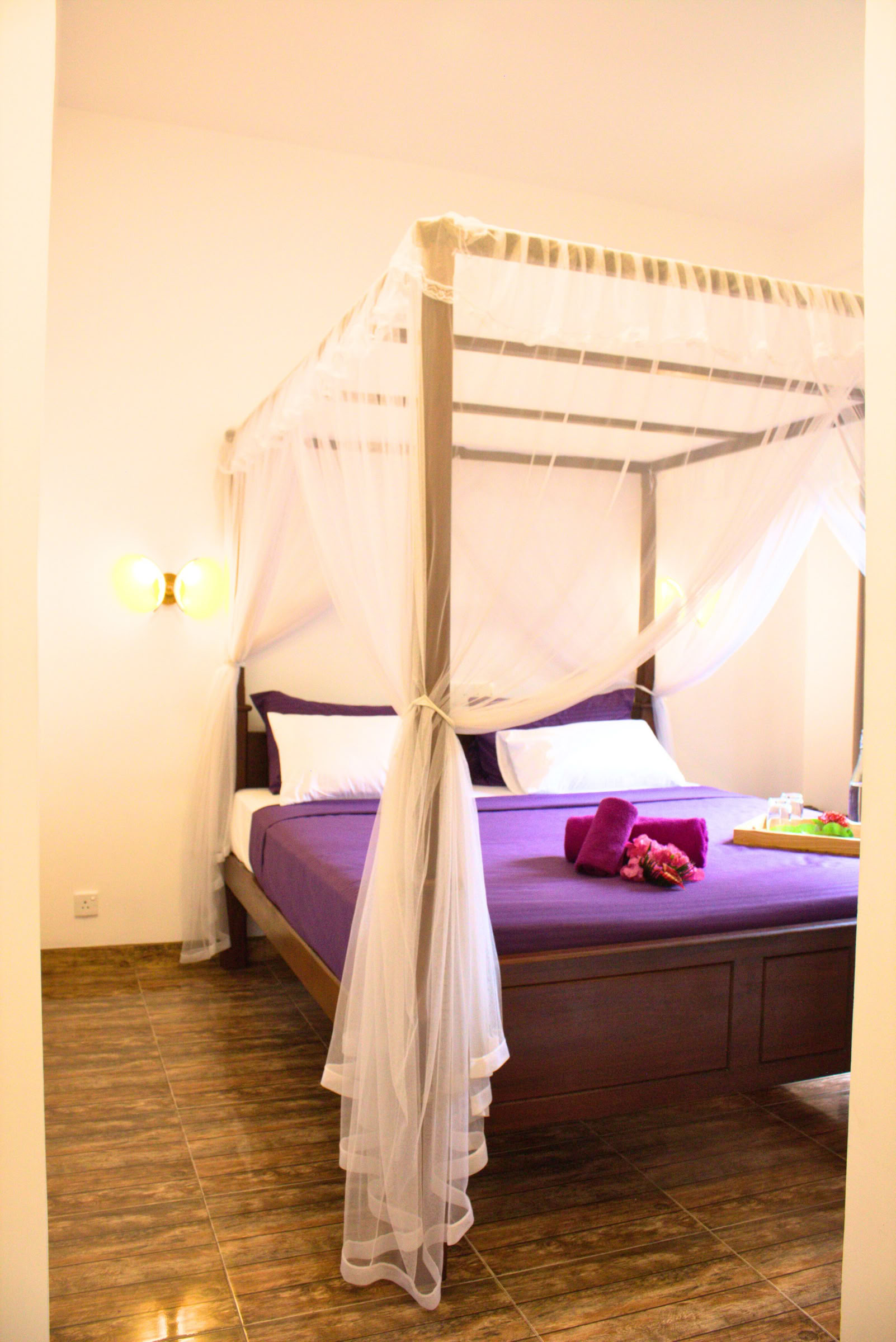 7-daagse reset van het zenuwstelsel, yoga- en meditatieretraite, Sri Lanka