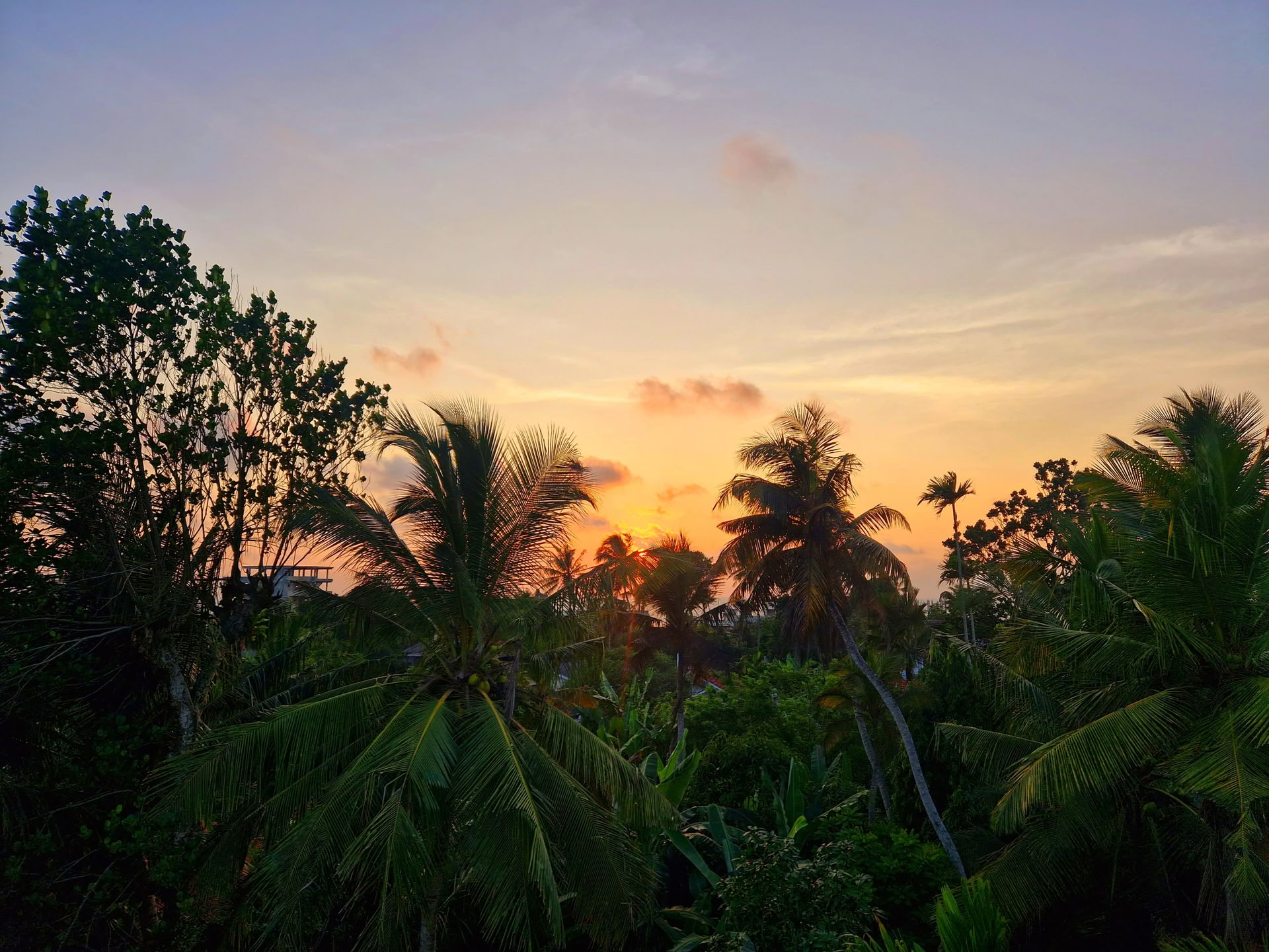 10-daagse inheemse helingsretreat met Ayurveda en yoga