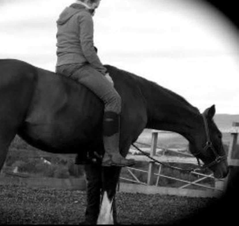 Paardenmeditatie