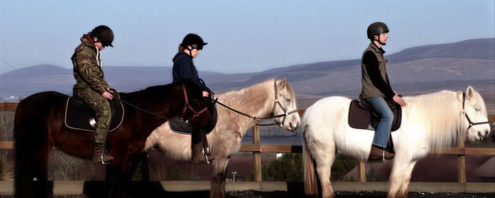 Paardenmeditatie