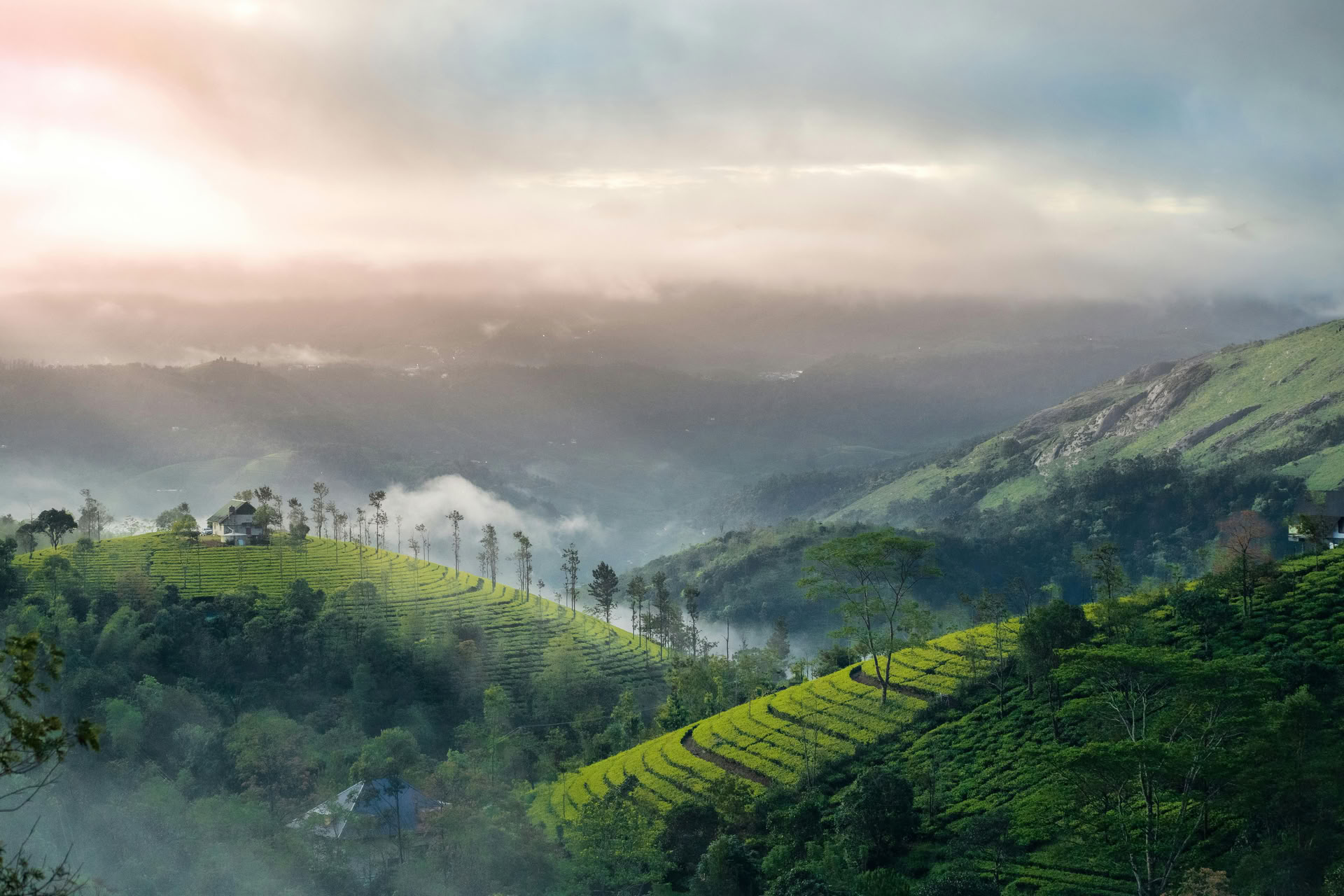 Panchakarma-retraite in Kerala