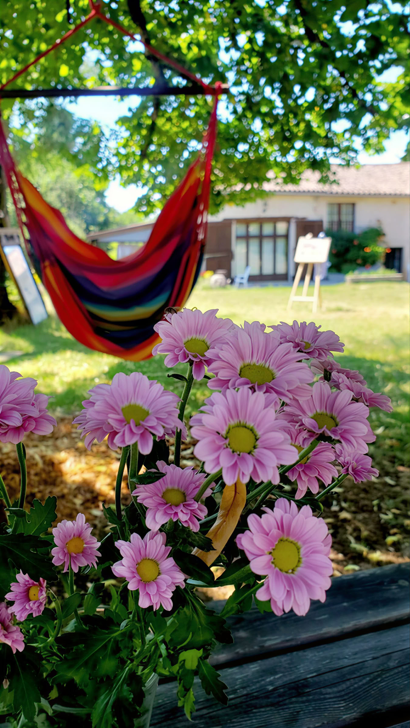 Yoga- en meditatieretraite in Zuid-Frankrijk