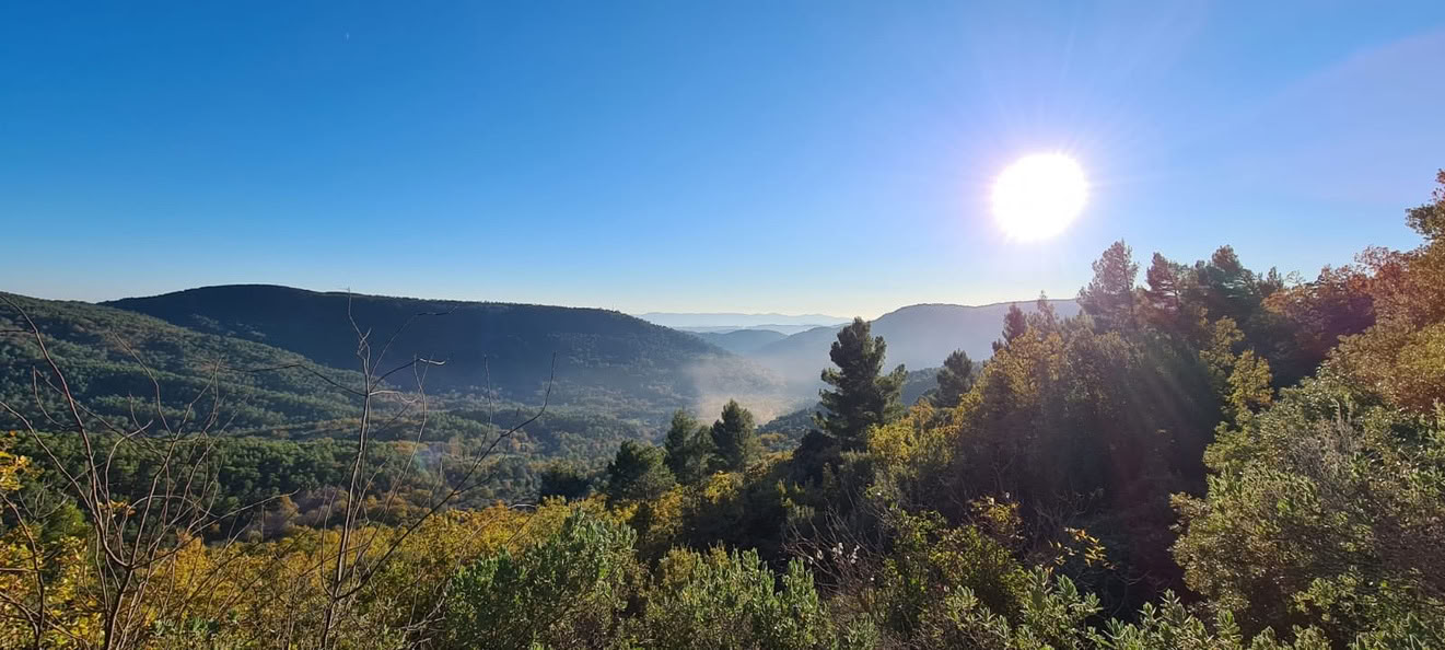 Detoxretreat