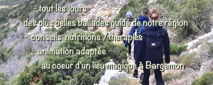 Wandelretreat
