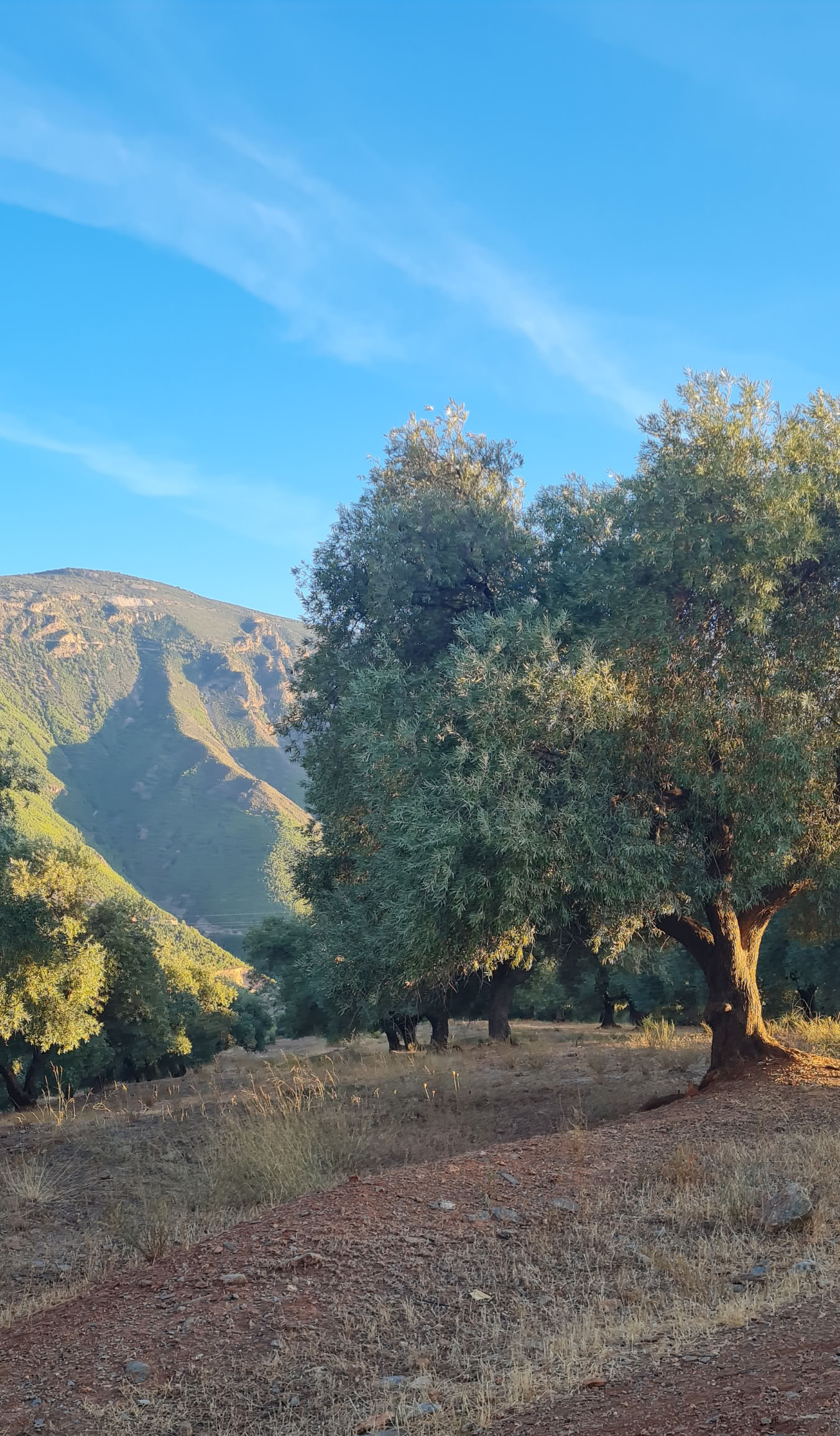 6-daagse Natuur- en Yogaretreat