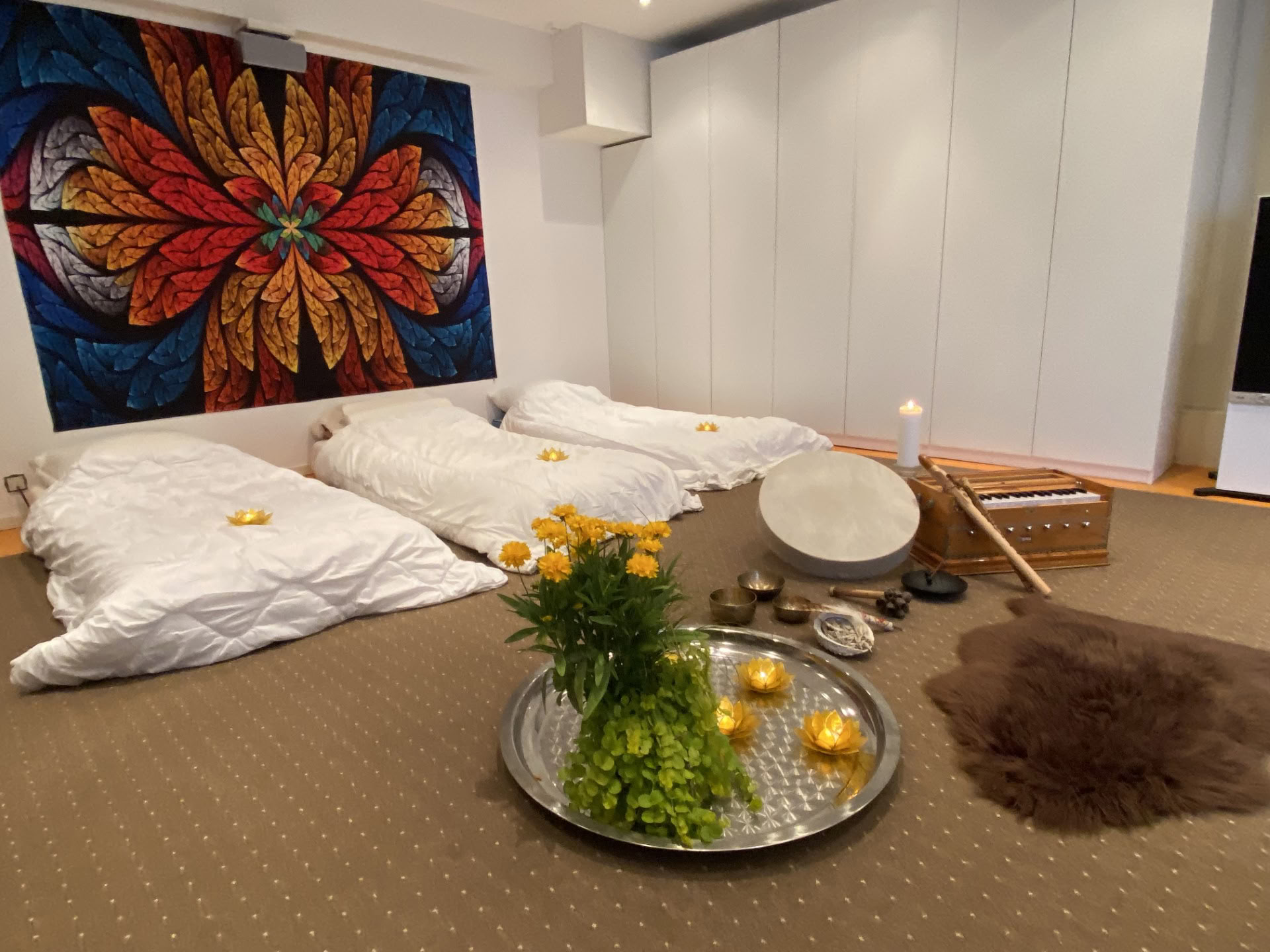 Privésessie ayahuasca