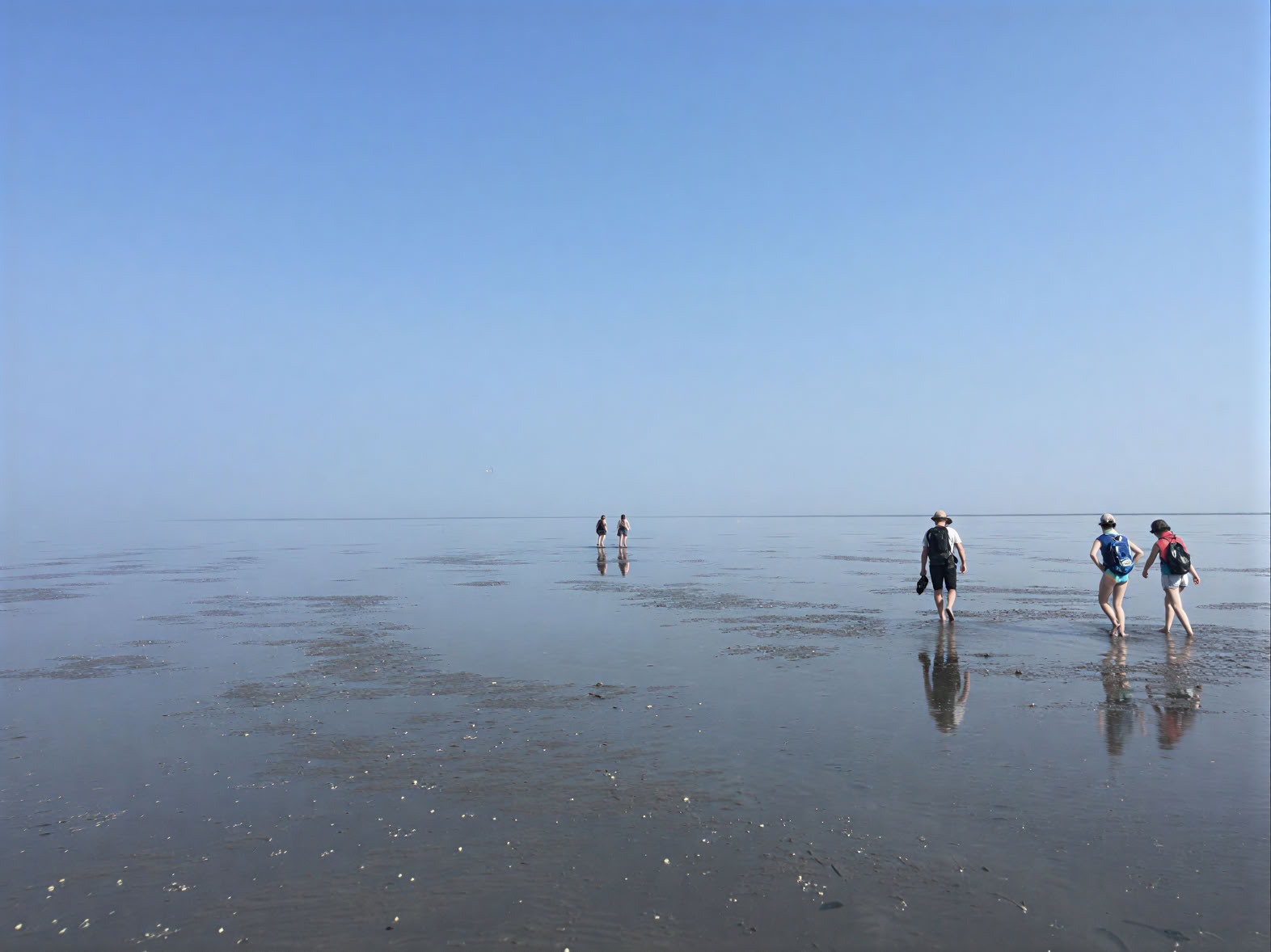Werkretreat (met Wadwandeling)
