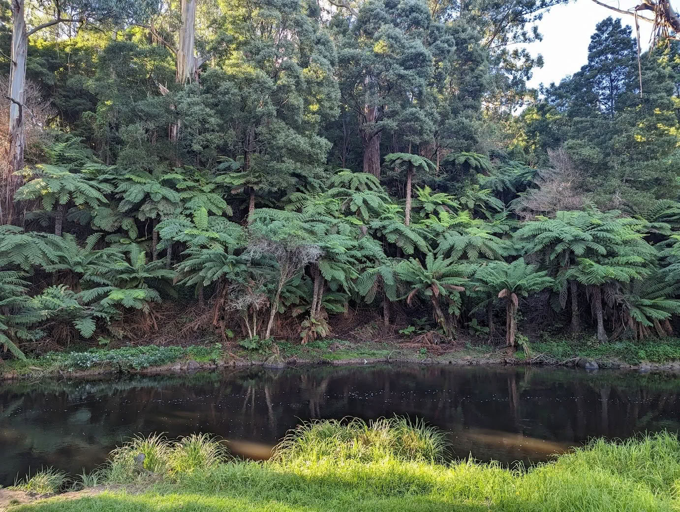 Warburton wellnessretreat