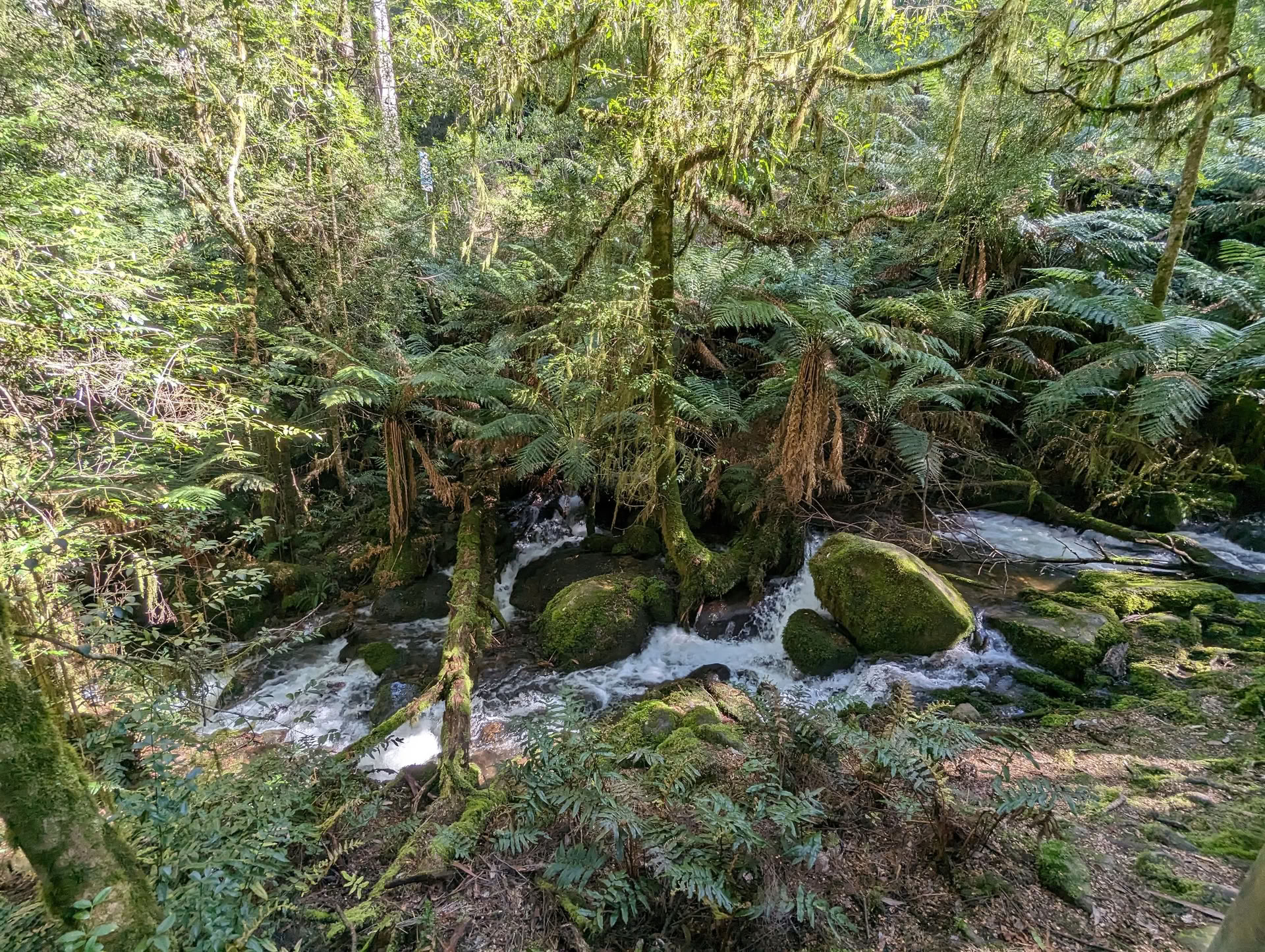 Overnachtingsretreat in Warburton