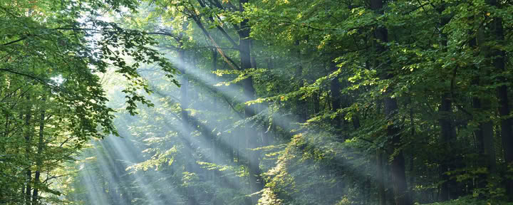 Spirituele mentoringssessie