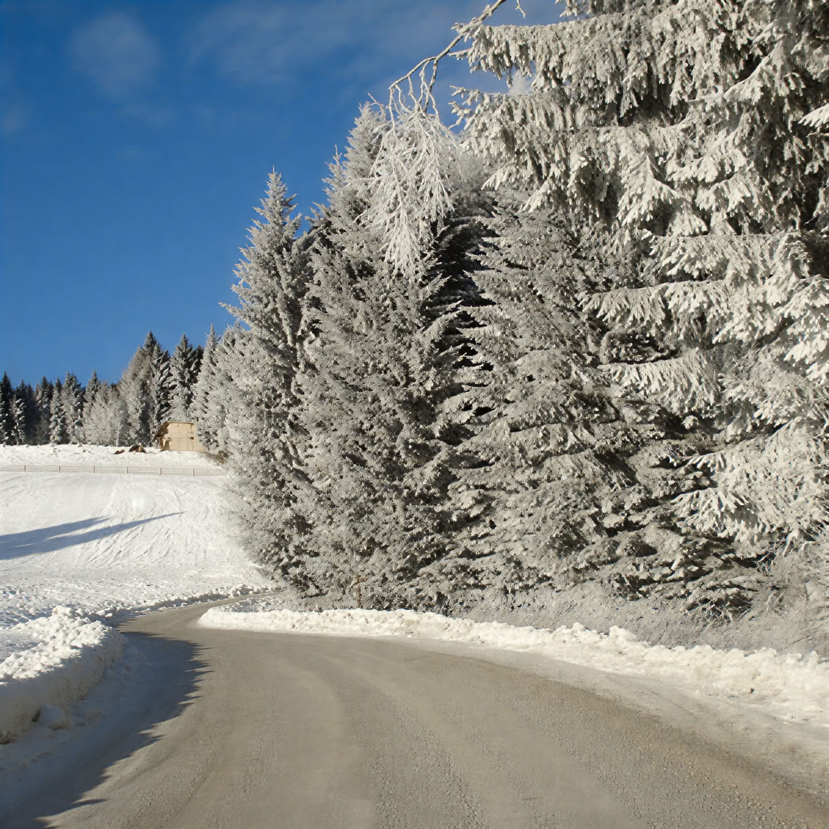 Stellenretraite op Reinischkogel
