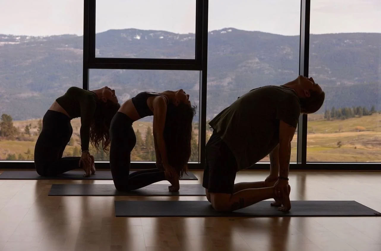 Dockside Flow: Yoga & Meditatie aan het Okanaganmeer!