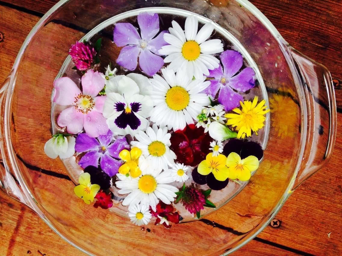 Ayurvedische Gemeenschapsreiniging