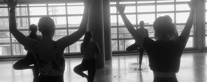 Puppy Yoga – Adoptieborrel (Alle Niveaus)