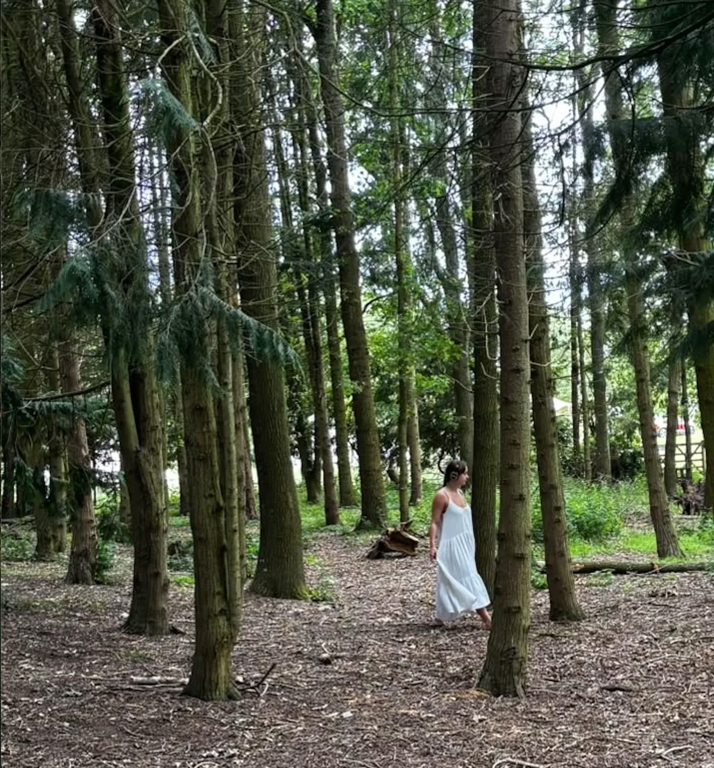 Waardige Aarde Festival — enwild retreat