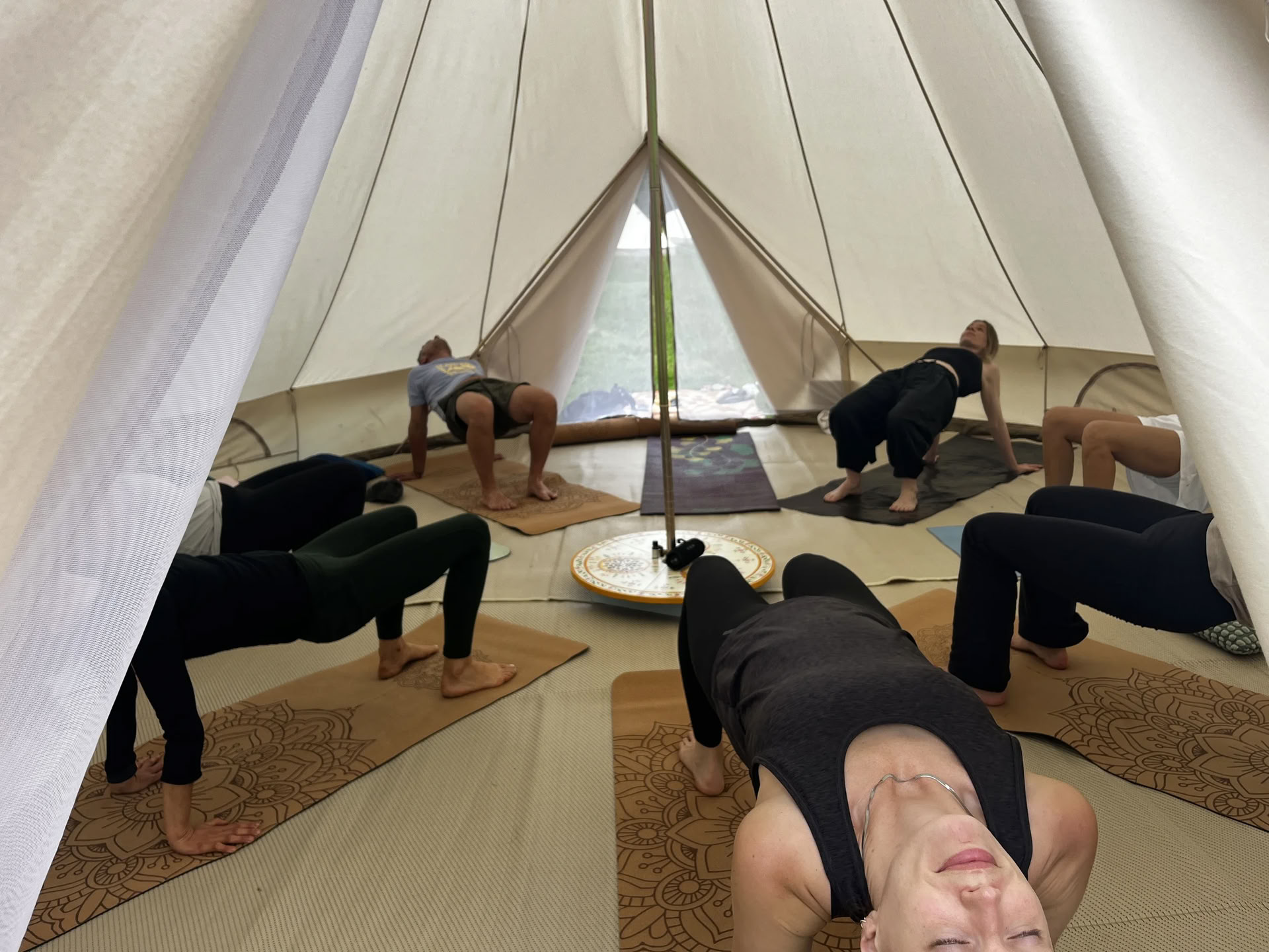 Waardige Aarde Festival — enwild retreat