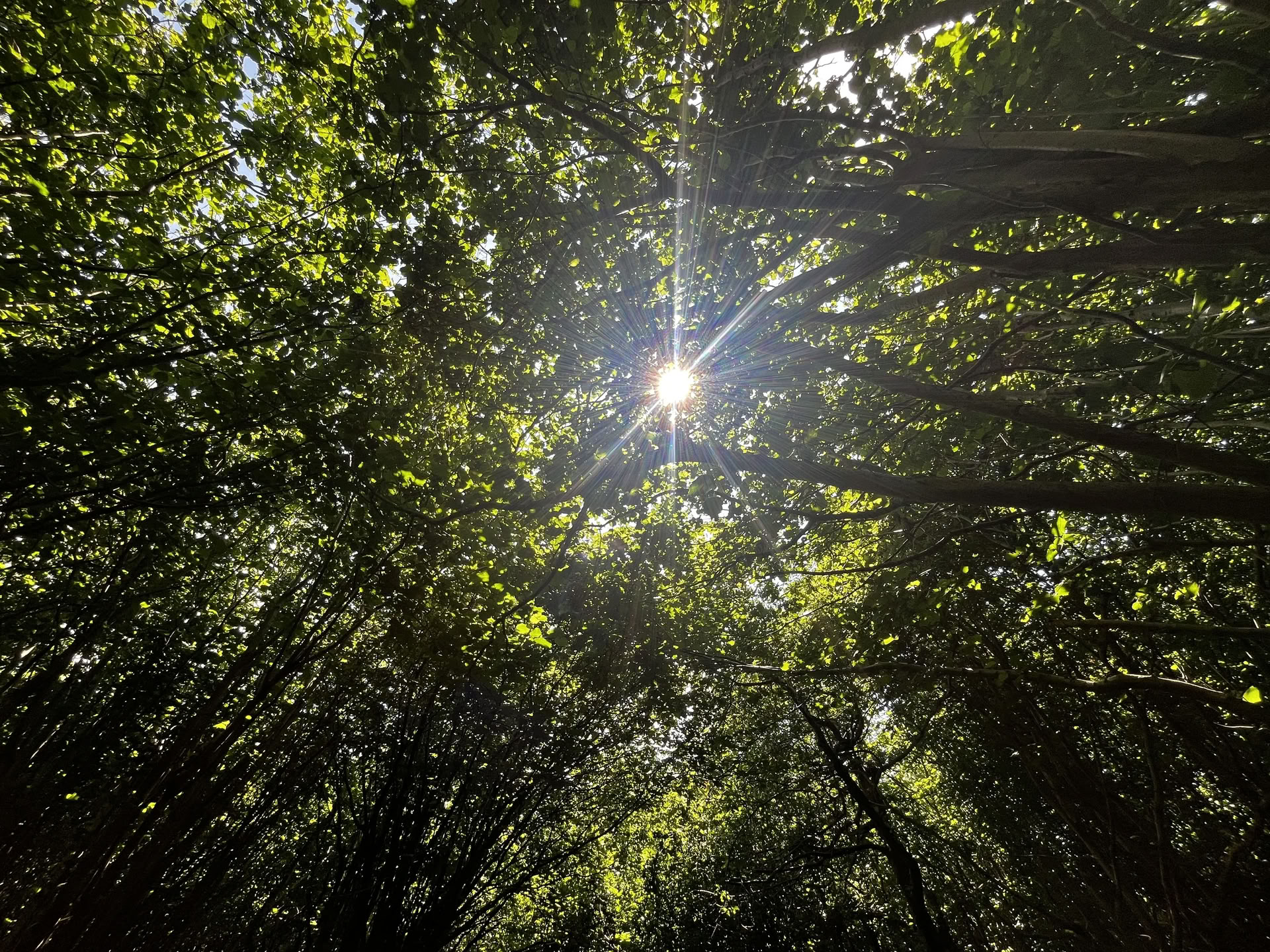 Familie Natuurdagretreat