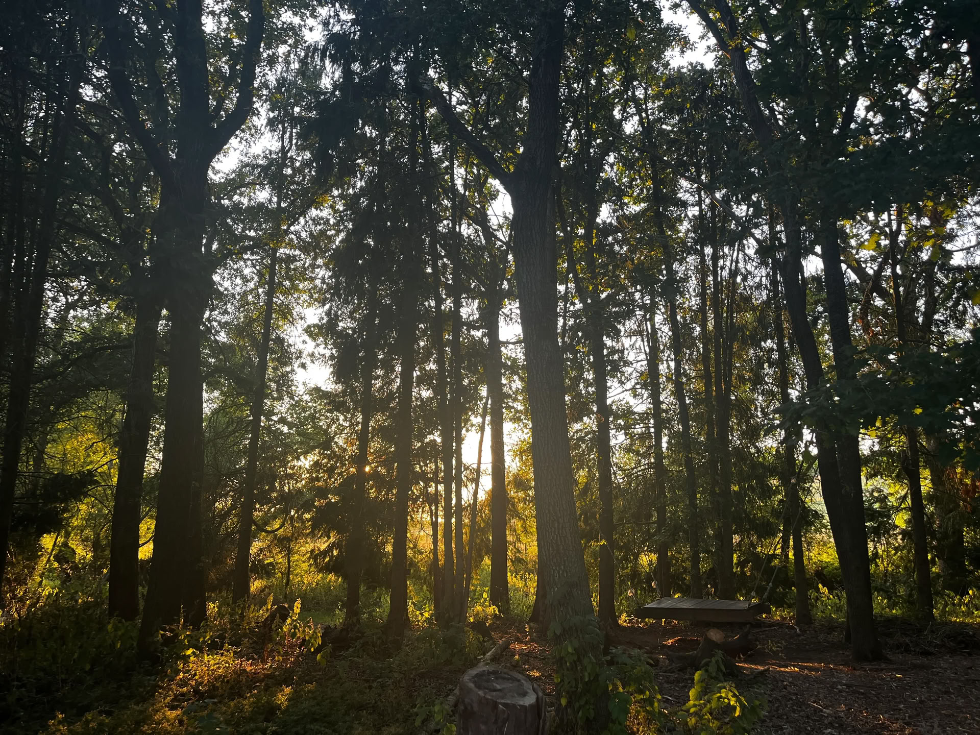Familie Natuurdagretreat