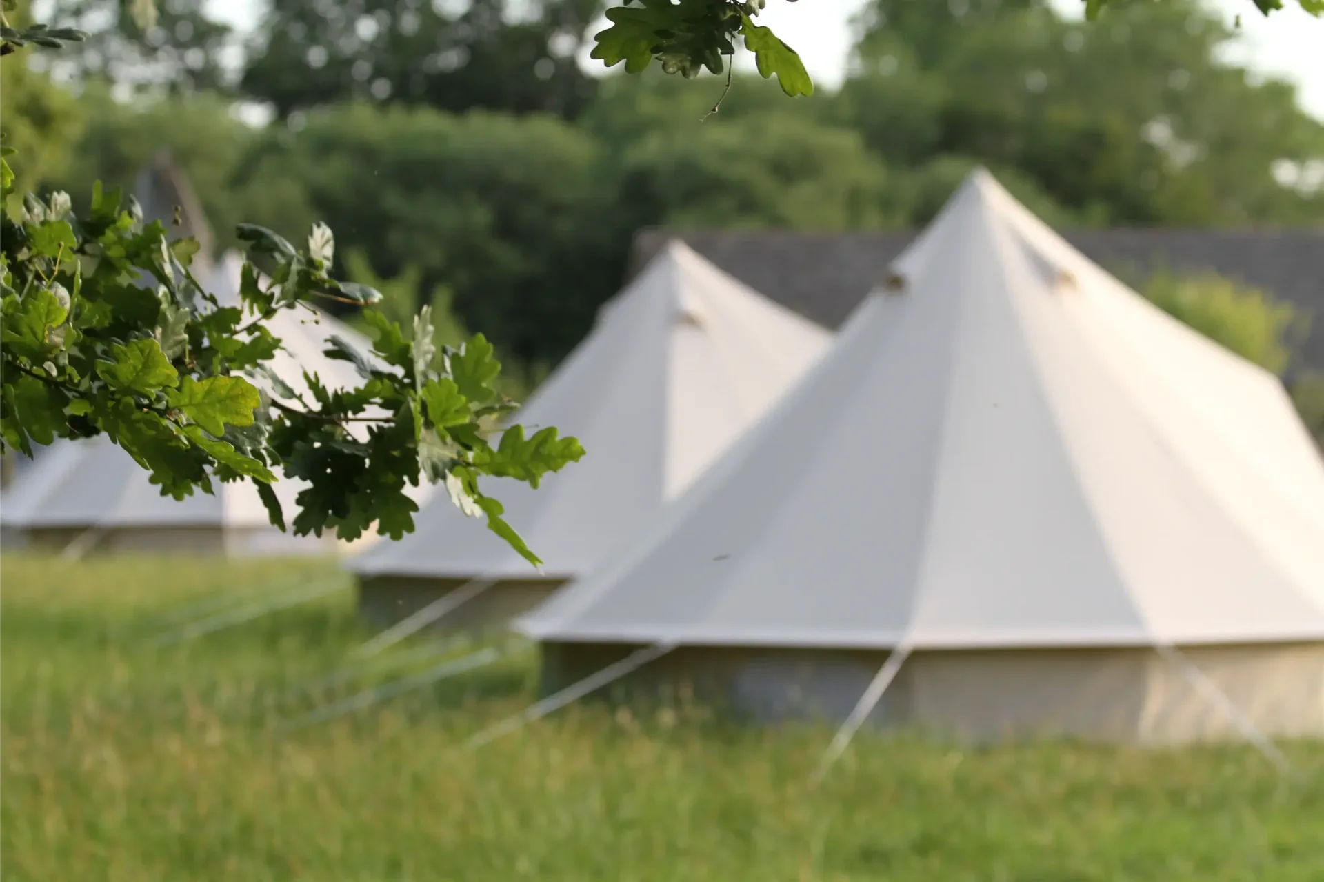 Familie Natuurdagretreat