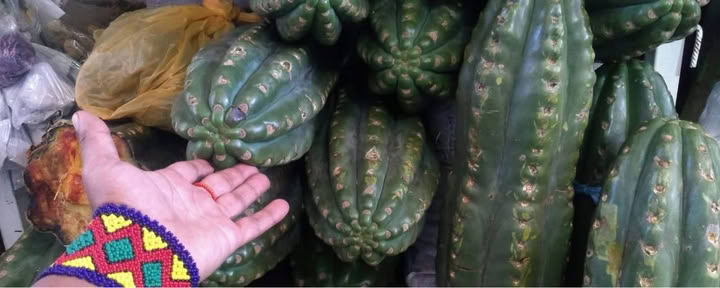 San Pedro-ceremonie