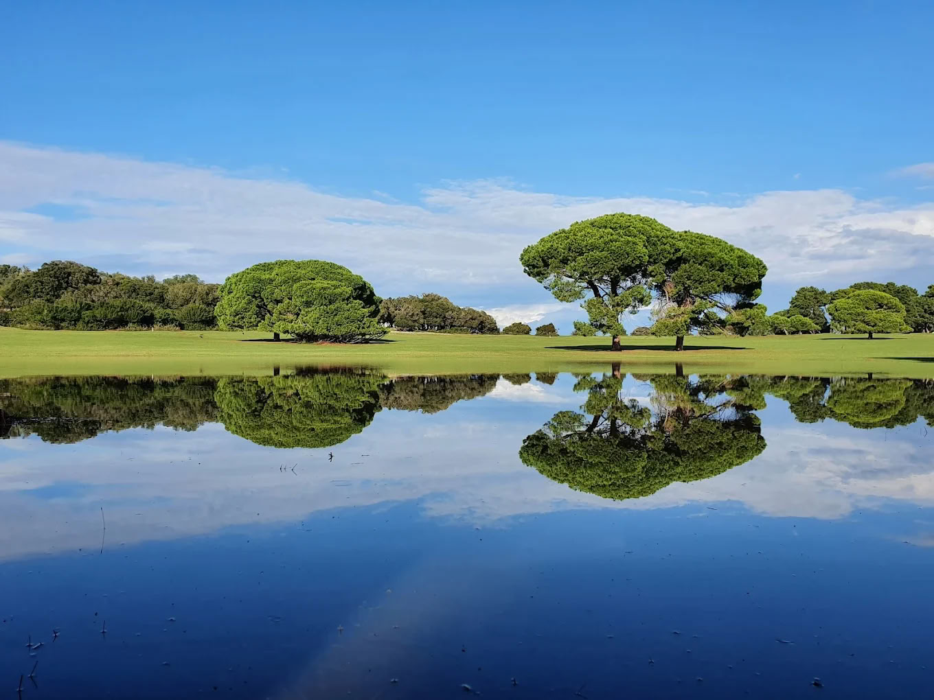 22-26 SEP YOGA RETRAITE BRIJUNI NATIONAAL PARK