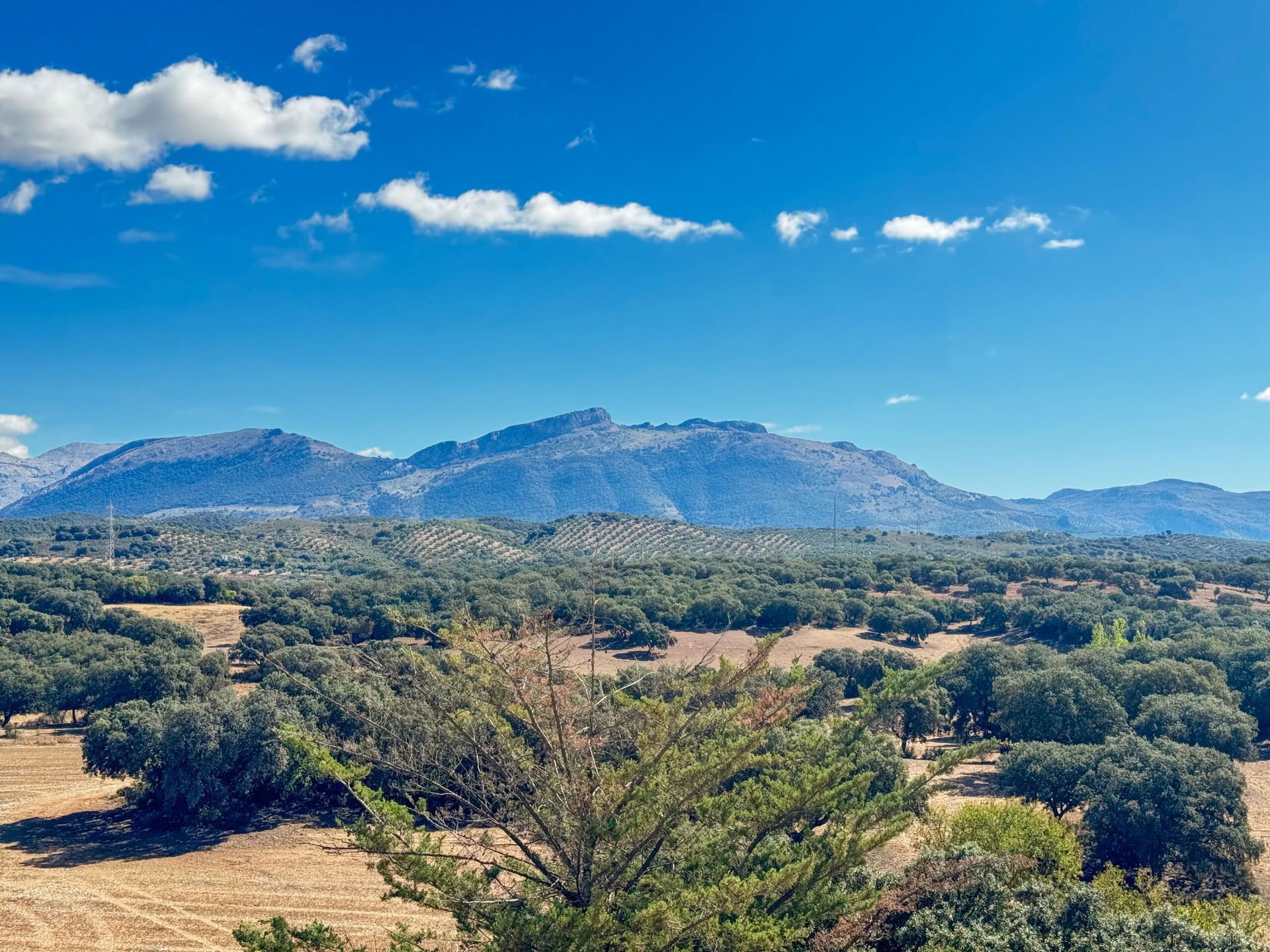 Huur Finca La Lola
