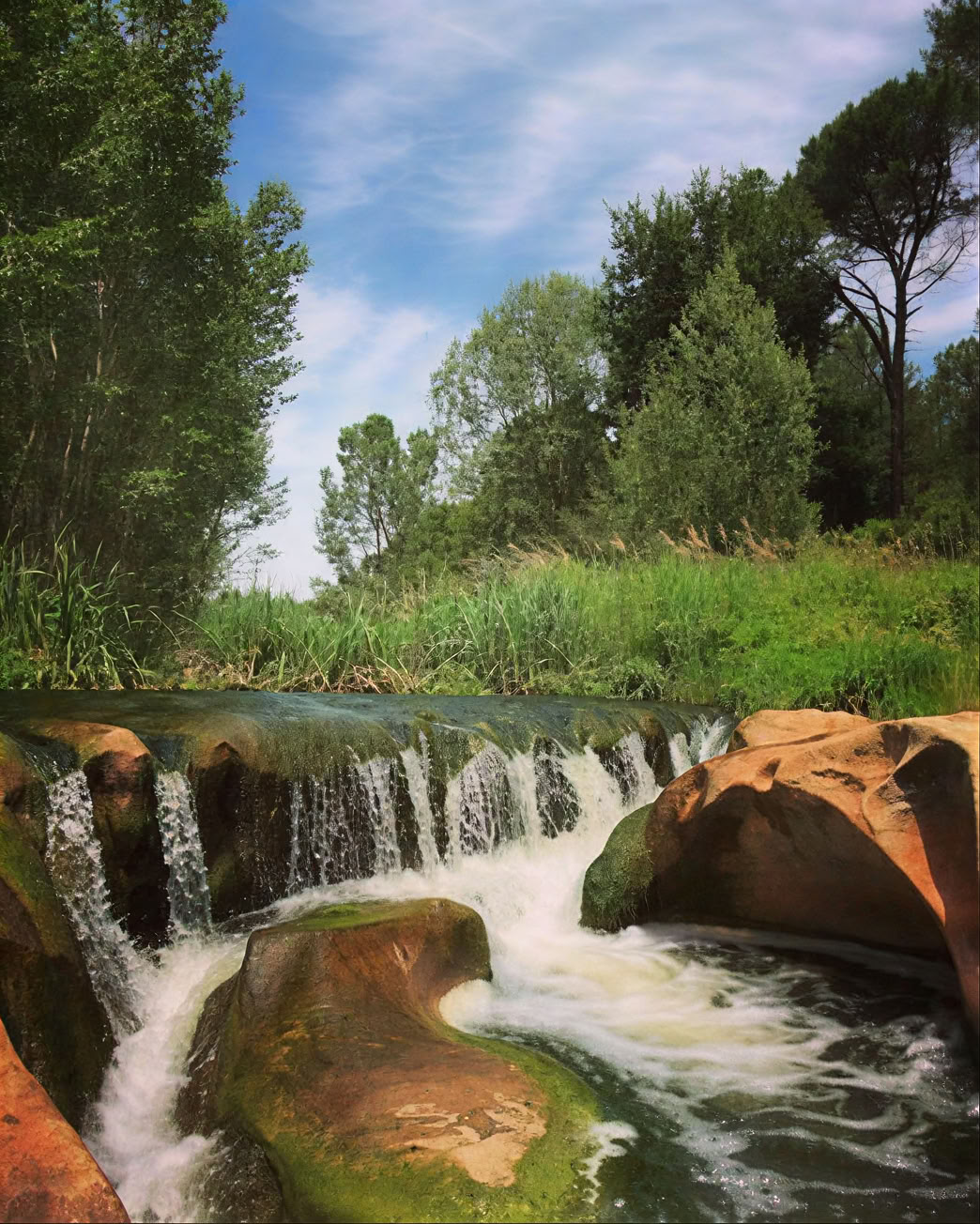 Lentefrisse Lichaamsretraite