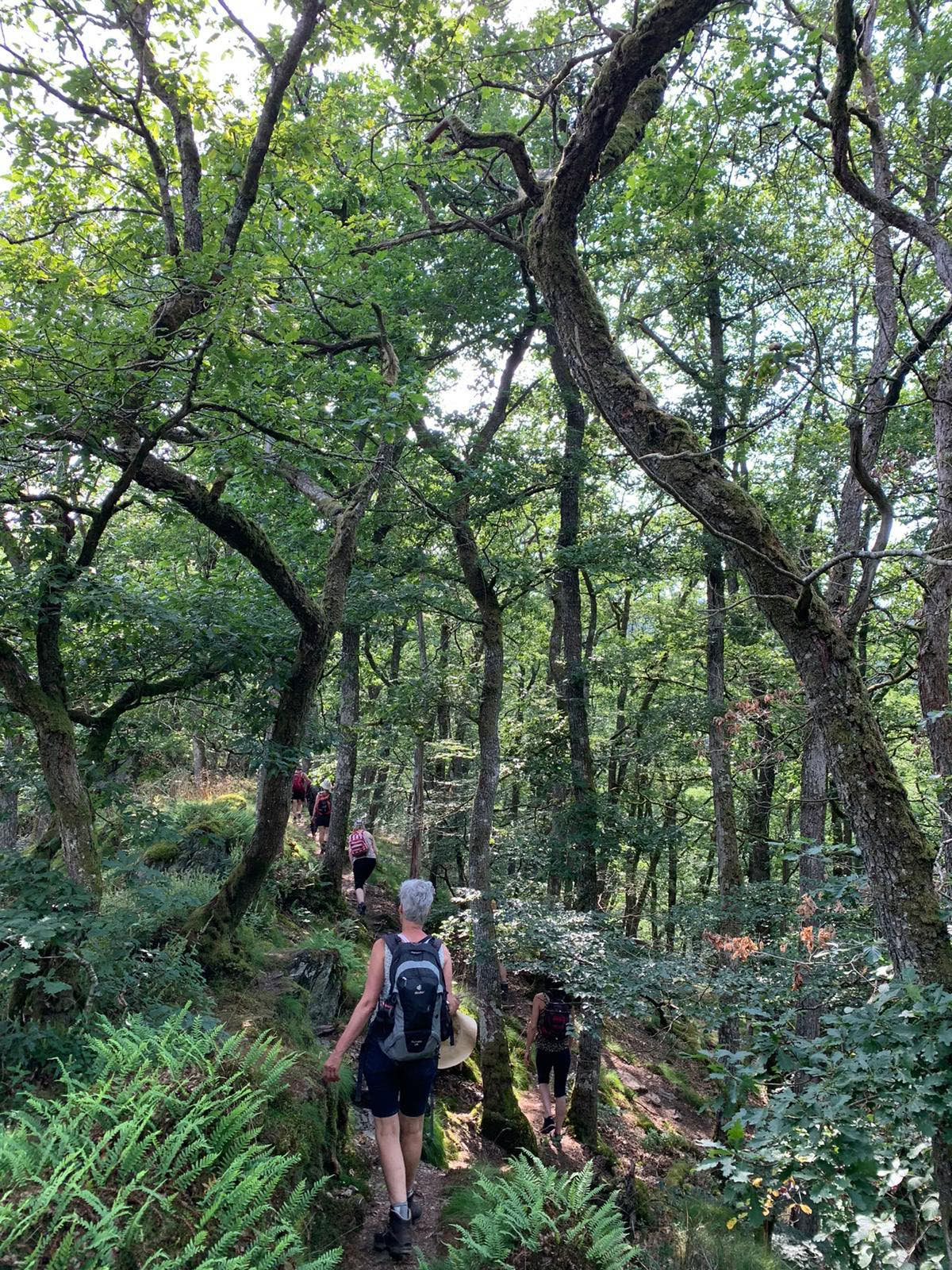 Kruiden & initiatieweekend – Kruidenwaters maken – 18 tot 20 september 2026 – laatste 2 plekken