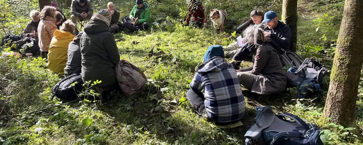 Training in spiegelen voor natuurbegeleiders en coaches – 22 tot 25 oktober 2026 – LAATSTE 2 PLEKKEN