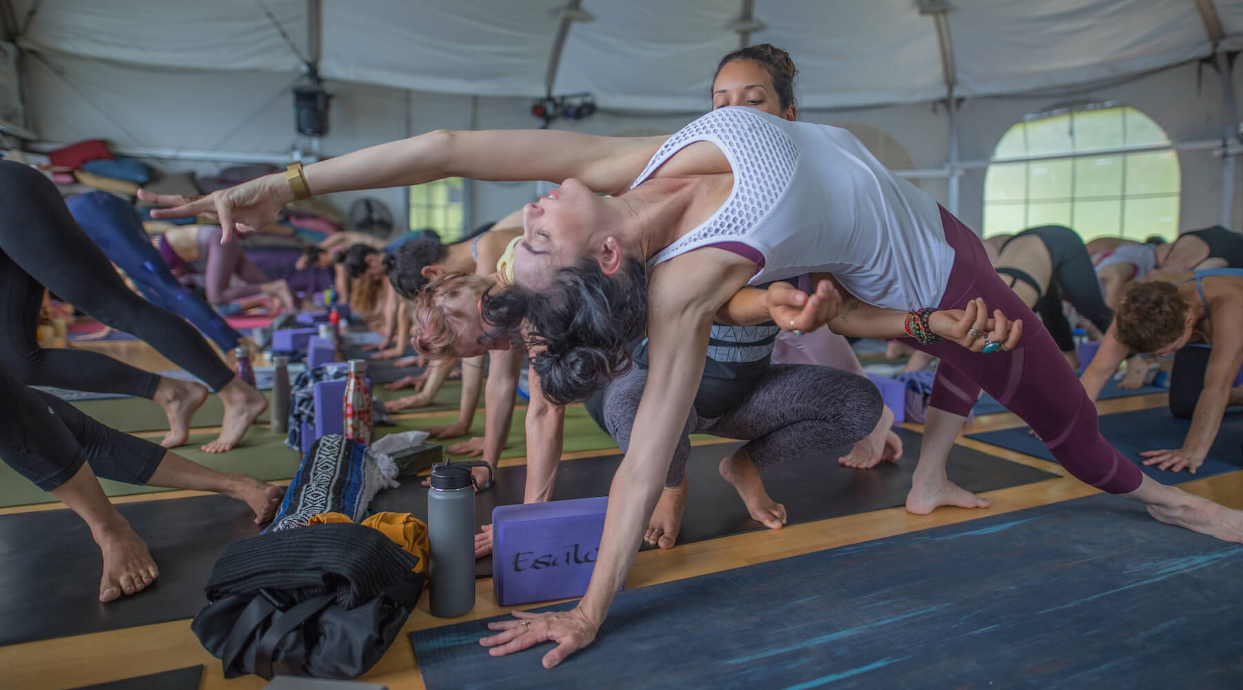 Houd van je lichaam nu: een therapeutische yogabenadering voor vreugdevolle lichaamsbewustzijn van top tot teen naarmate we ouder worden