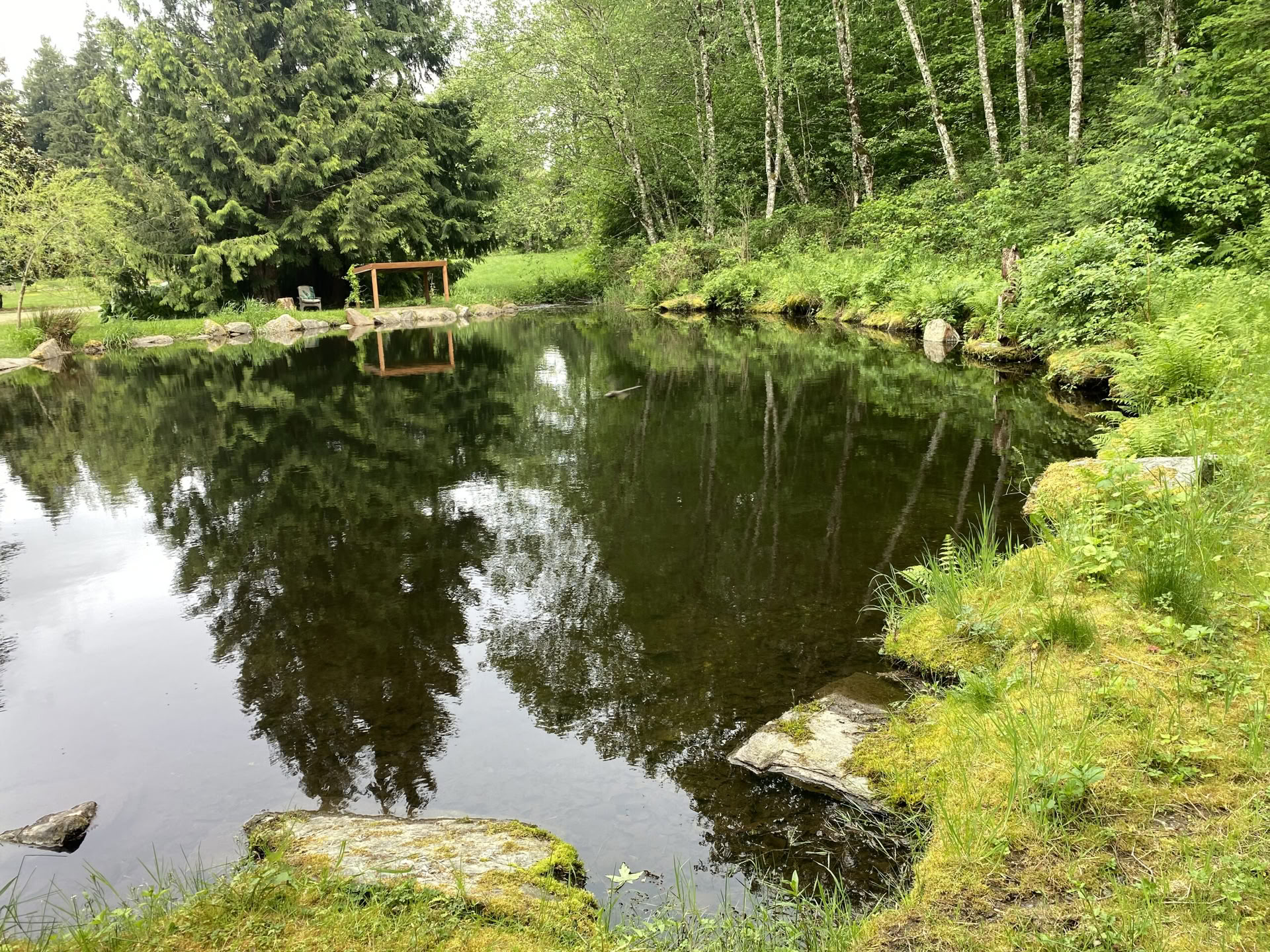 Yoga-, wandel- en healingsretreat bij Fox Creek Falls