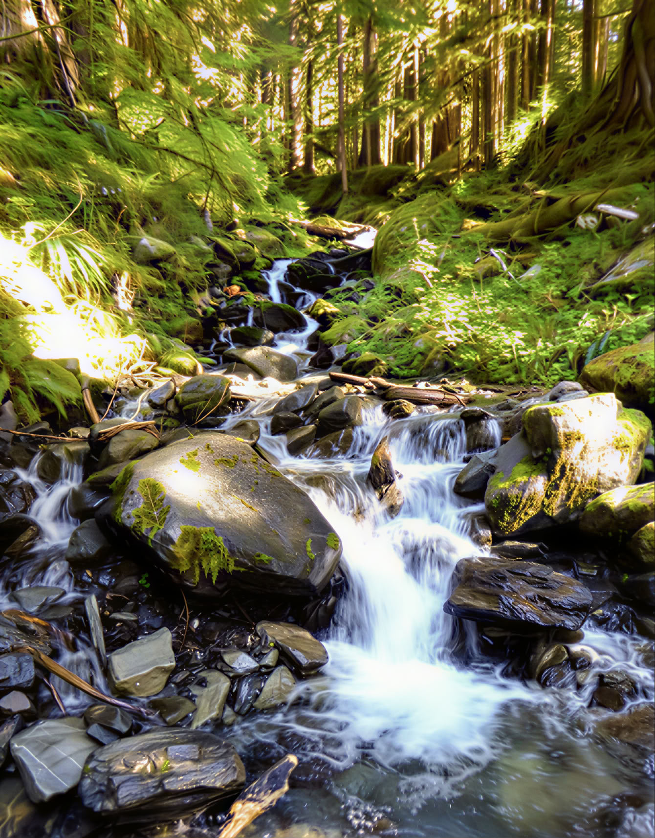 Yoga-, wandel- en healingsretreat bij Fox Creek Falls