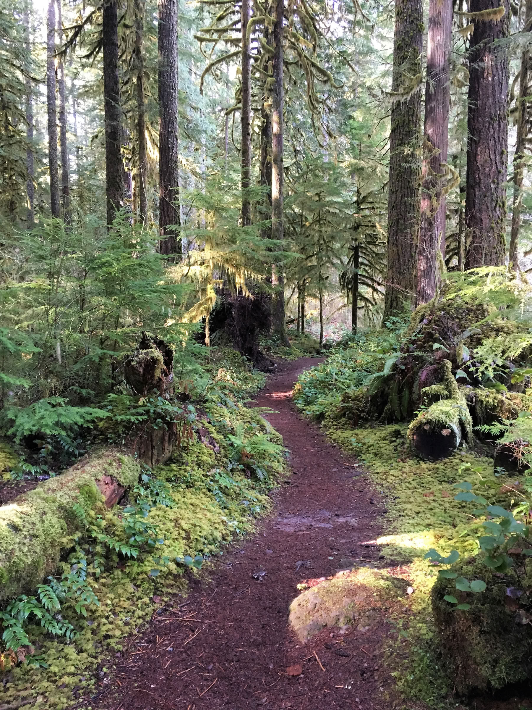 Aldermarsh: Yoga- en meditatieretraite in Washington State