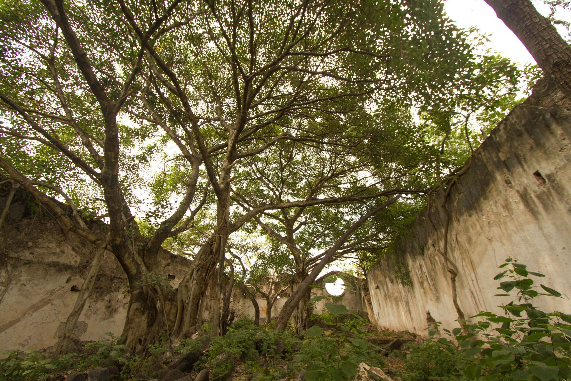 Transformerende yogaretreat