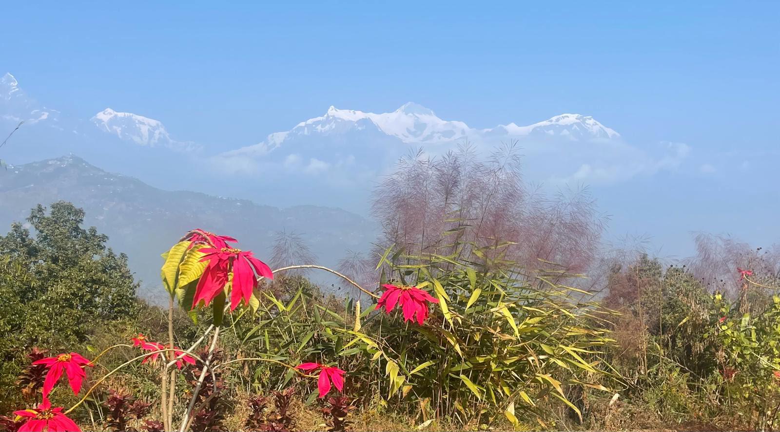 Himalayaans retraite voor heling en avontuur