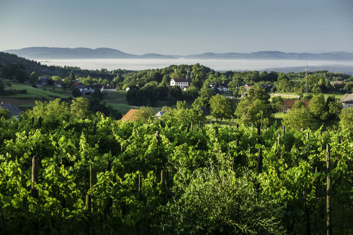 Wellnessuitstap naar Slovenië