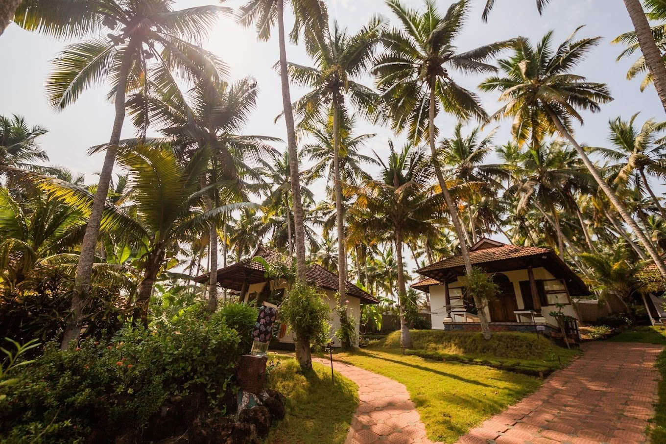 Yoga- en Ayurveda-retreat in India - 1 september