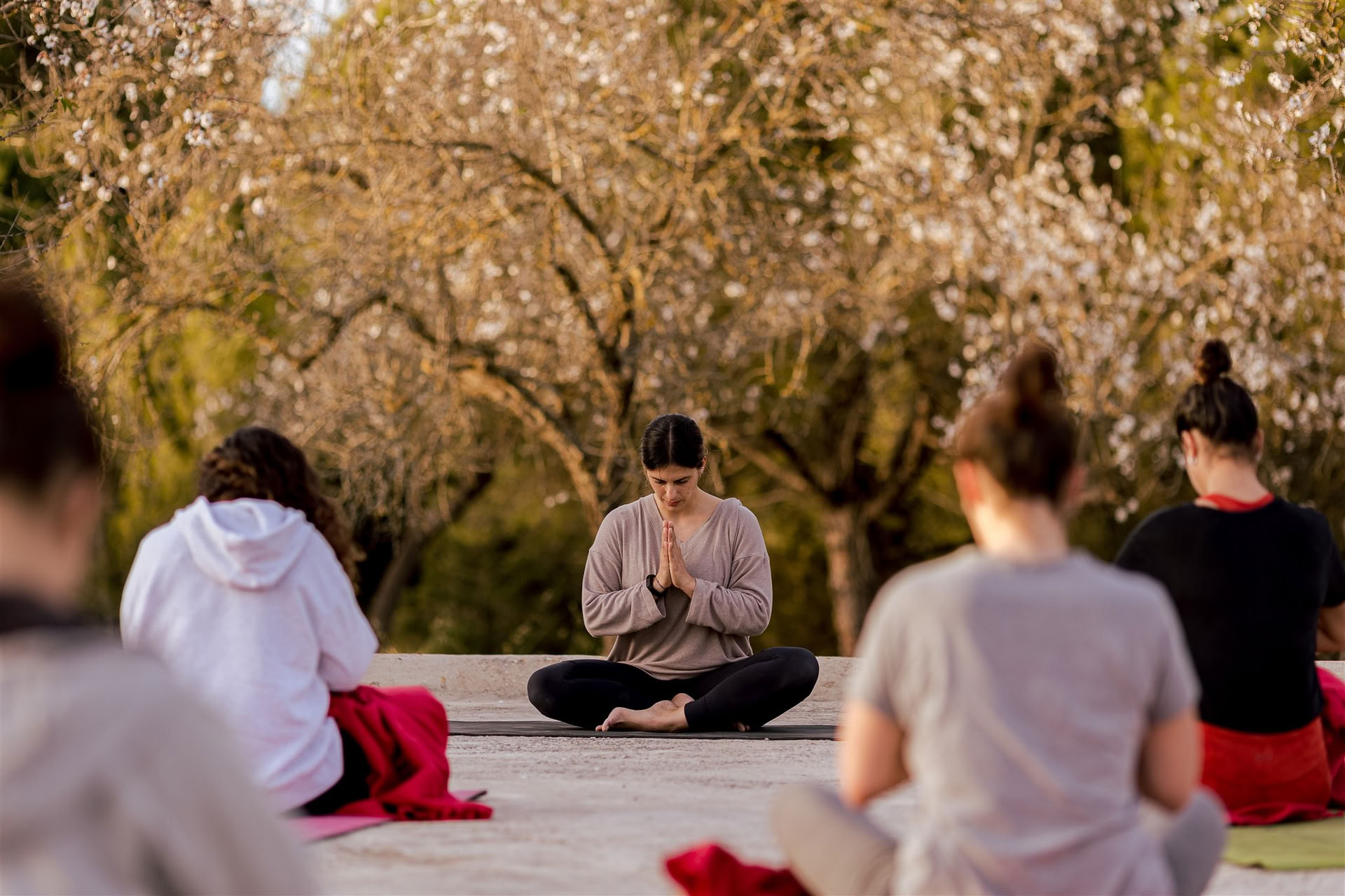 Vinyasa-yoga bij IBIZALOE (San Antonio)