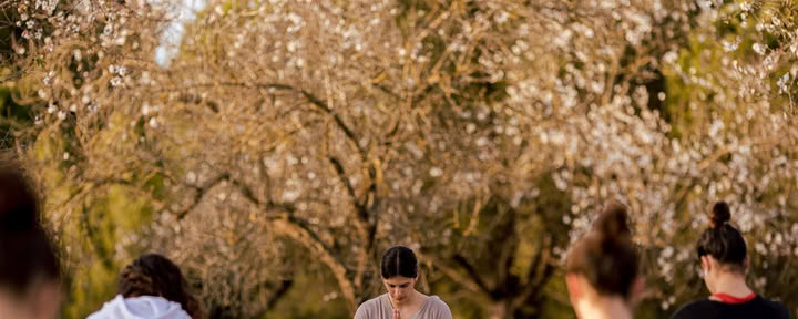 Vinyasa-yoga bij IBIZALOE (San Antonio)