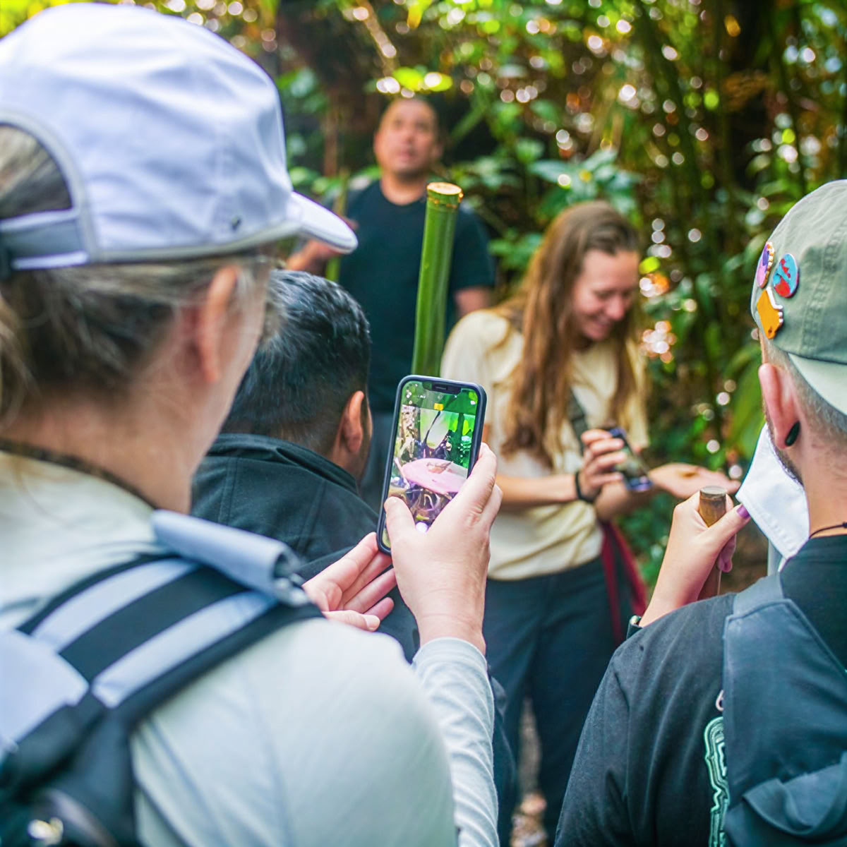 Privétocht door het nevelwoud - Pantropical Trail (1,5 uur)