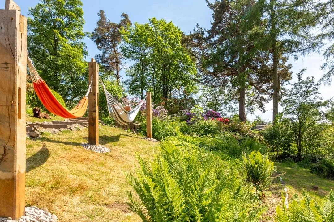Beginner SUP, Yoga, Wildzwemmen & Sauna