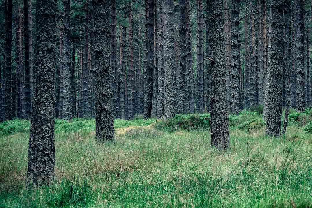 3-daagse yogaretreat Schotland – 2 – 5 oktober