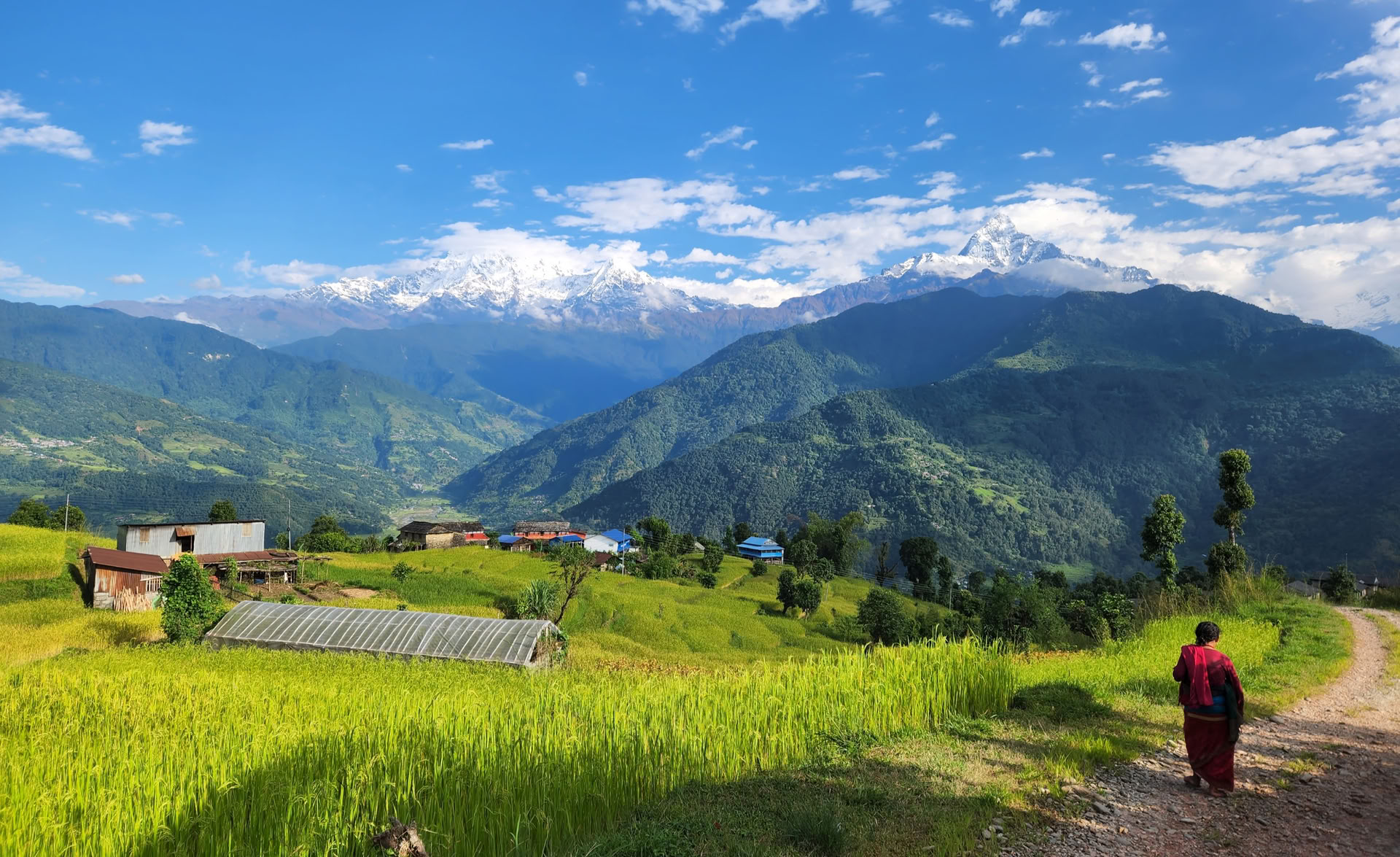 Himalayazicht YTTC (5 oktober 2026)