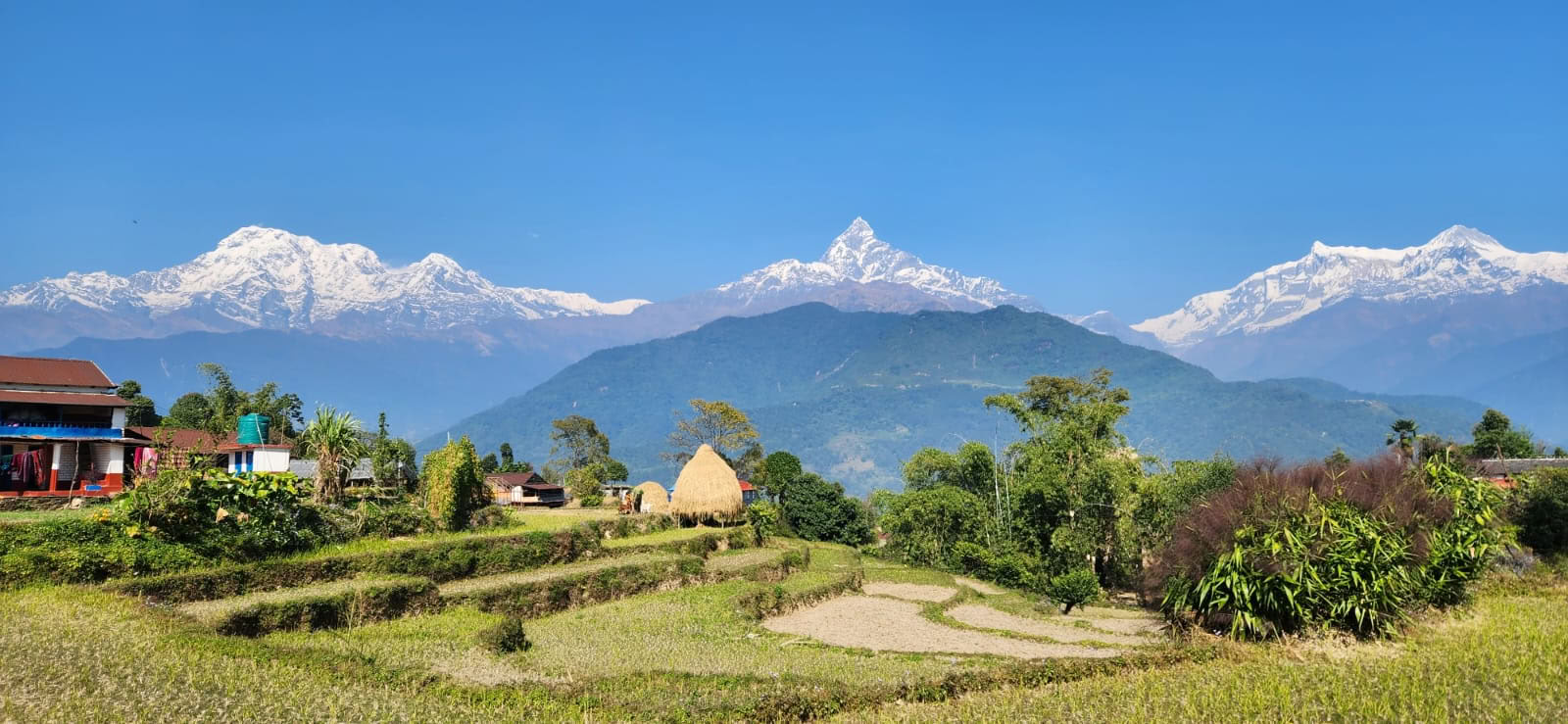 Himalayazicht YTTC (5 oktober 2026)