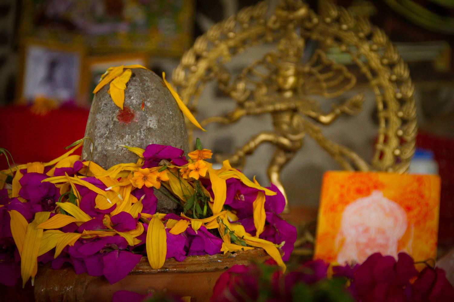 Introductie tot Vipassana