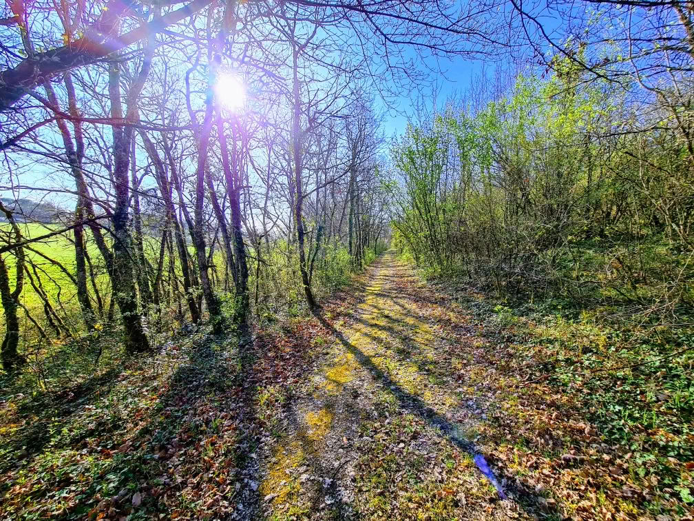 Detox, Yoga & Welzijn